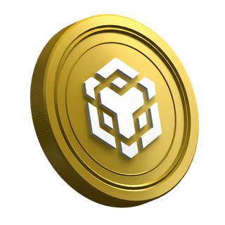 Token BNB della piattaforma Binance visualizzato nella sezione guida dedicata ai principianti del trading